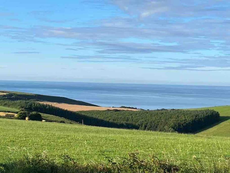 The Bird House - Coastal Lodge In Lovely Forest Setting Nr. Kinsale คอร์ก ภายนอก รูปภาพ