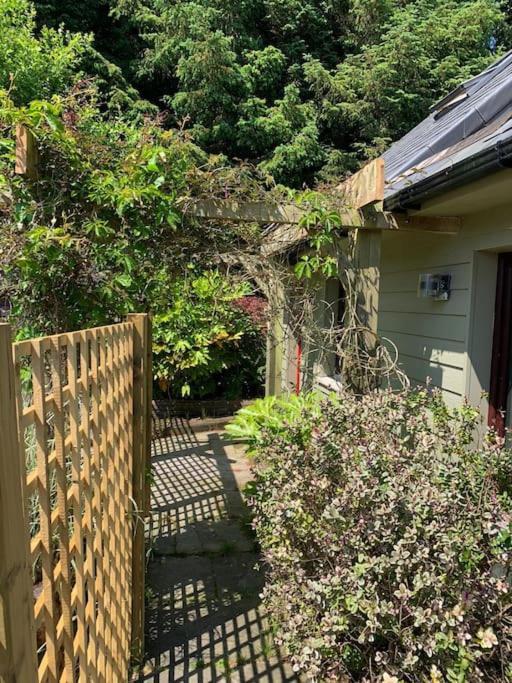 The Bird House - Coastal Lodge In Lovely Forest Setting Nr. Kinsale คอร์ก ภายนอก รูปภาพ